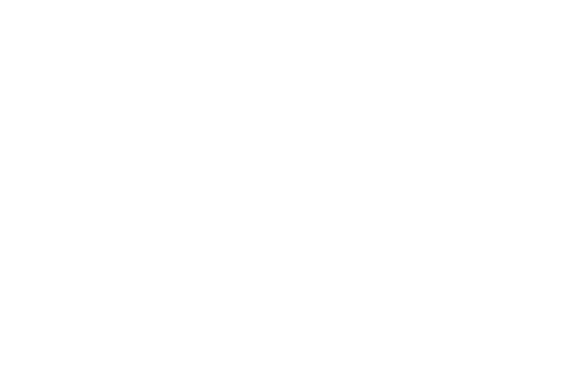 Rural Promise USA Logo - White serif type with white circle with olive branch icon above